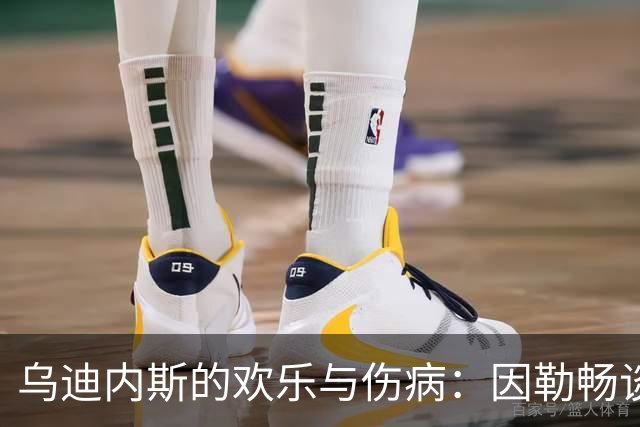 乌迪内斯的欢乐与伤病：因勒畅谈扎尼奥洛重返国家队的喜悦